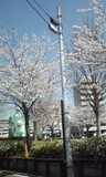 110406_1046~01.jpg