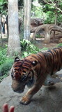 2011050416560000.jpg