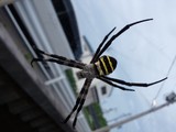 DSC_0381.JPG
