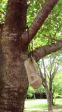 2011073112530000.jpg