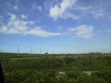 NEC_0001.JPG
