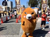 写真.JPG