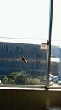 2011092408510000.jpg