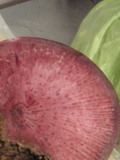 201104021340000.jpg