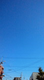 2011111612390000.jpg