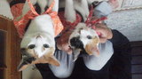 2010110500110000.jpg