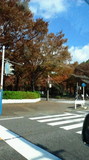 2011112011400000.jpg