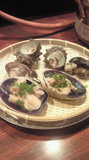 201112301259000.jpg
