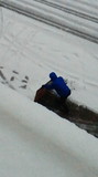 2012020209200001.jpg