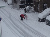 DSC_0945.JPG