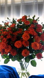 201203140802000.jpg