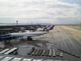 NEC_0023.JPG