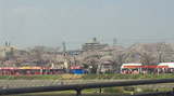 201204091237001.jpg