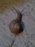 20120420212115.jpg