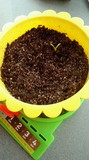 2012042806100000.jpg
