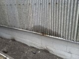 DSC_0138.jpg