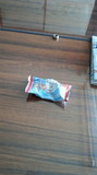 2012072609300000.jpg