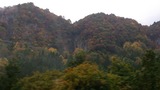 DSC_0216.jpg