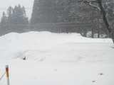 DSC_0223.jpg