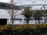 NCM_0027.JPG
