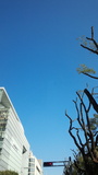 IMG_20150325_082633.jpg