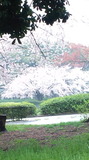 150401_143706.jpg