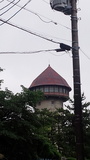 DSC_0175.jpg