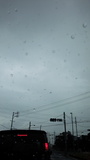DSC_0221.jpg