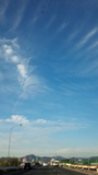 DSC_0231.jpg