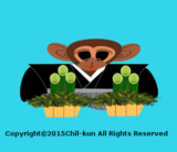 27.copyright .png