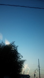 DSC_0309.jpg