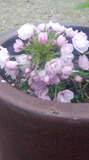 160401_065224.jpg