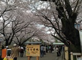 IMG_2277.JPG