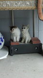 160619_165055.jpg