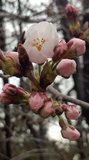 170330_074708.jpg