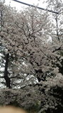 170408_065552.jpg
