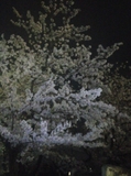 17-04-09-23-02-54-158_photo.jpg
