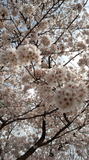 170409_141108.jpg