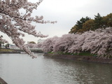 20170410151303.jpg