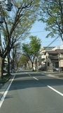 DSC_0019.JPG