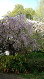 170416_074440.jpg