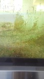 170527_1440~01.jpg
