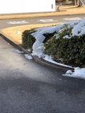 image2.jpeg