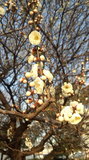 180220_073203.jpg