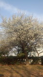 180228_083150.jpg